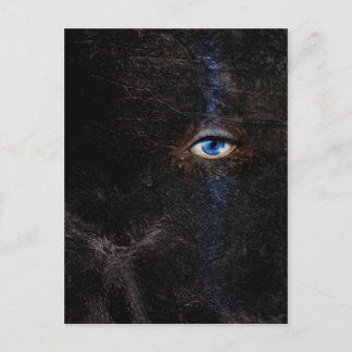 濃いポストカード ポストカード