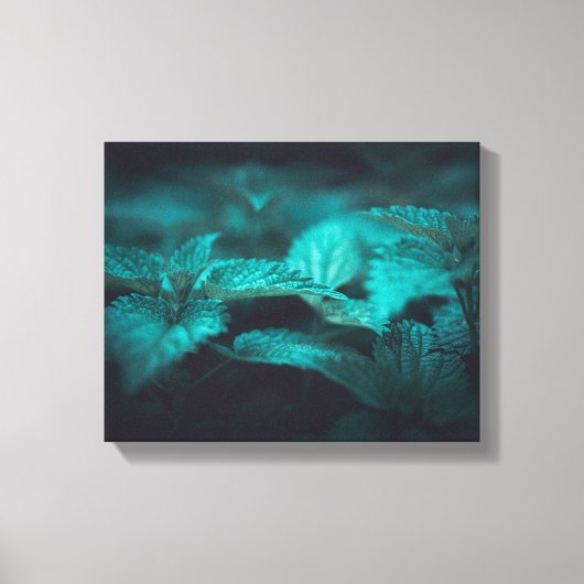 濃いムーディスティングネットル自然写真 キャンバスプリント (正面)