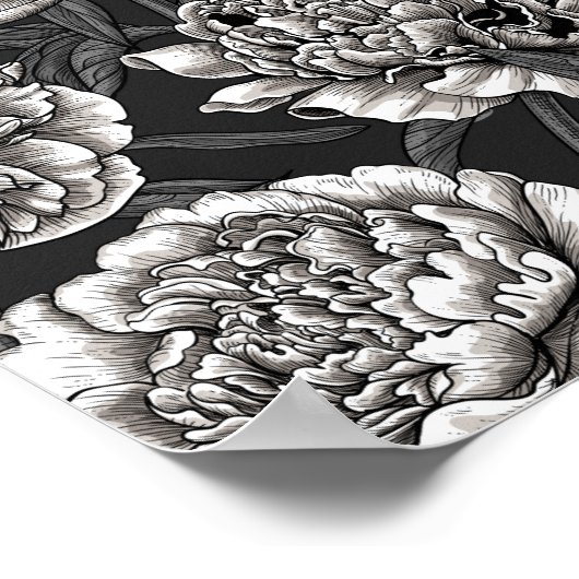 濃い灰色に白い牡丹の花 ポスター (角)