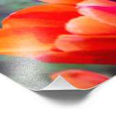 濃い紫のチューリップ フォトプリント            (角)