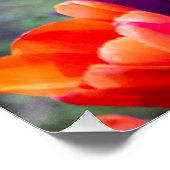 濃い紫のチューリップ ポスター (コーナー)