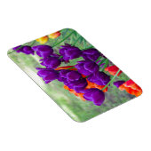 濃い紫のチューリップ マグネット (右側)