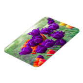 濃い紫のチューリップ マグネット (左側)