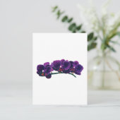 濃い紫のファレノプシスのラン ポストカード (スタンド正面)
