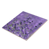 濃い紫のラベンダーの花 タイル (側面)