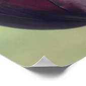 濃い紫色のチューリップ花 ポスター (角)