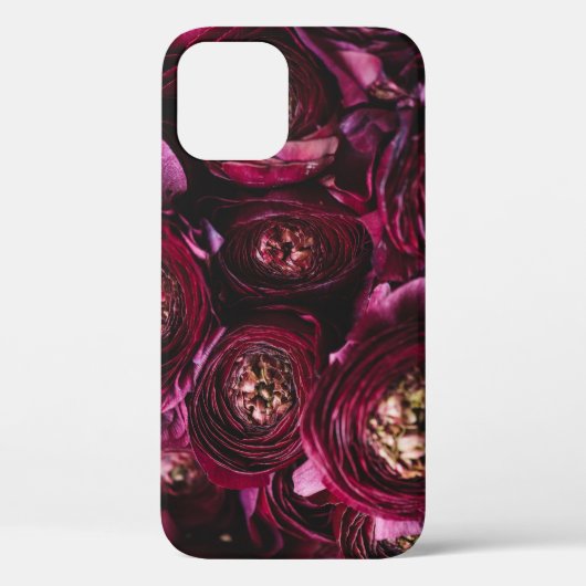 濃い紫色のランナキュラス、クローズアップ開花。 Case-Mate iPhoneケース (裏面)