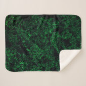 濃い緑のテクスチャ、破壊または腐食したスポンジ シェルパブランケット (正面(横))
