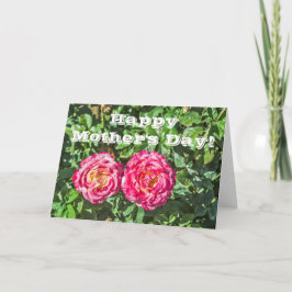 濃い緑のバラが2つ葉 カード