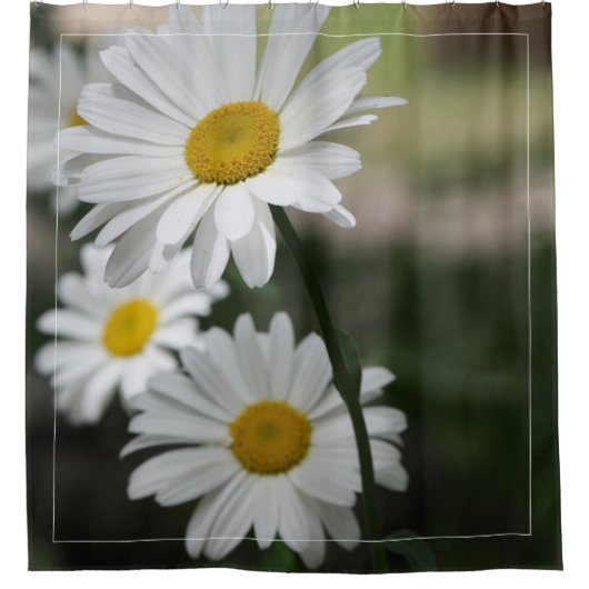 濃い緑の白いデイジー シャワーカーテン (正面)