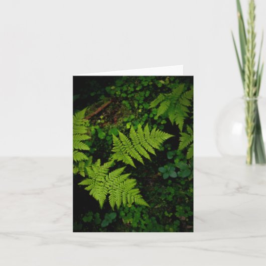 濃い緑の陰鬱な自然のテーマとシダ植物 カード (正面)