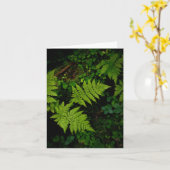 濃い緑の陰鬱な自然のテーマとシダ植物 カード (黄色い花)