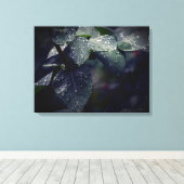 濃い緑の離れと雨滴 キャンバスプリント (インサイチュ (ウッドフロア))