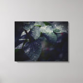 濃い緑の離れと雨滴 キャンバスプリント (正面)