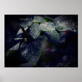 濃い緑の離れと雨滴 ポスター