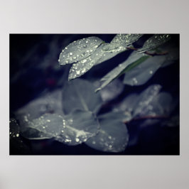 濃い緑の雨離れの ポスター