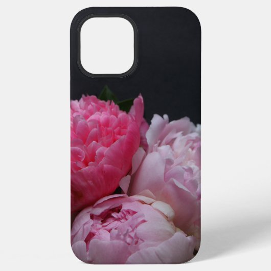 濃い背景のピンクの芍薬 iPhoneケース (裏面)