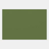 濃い苔の緑無地のの色 ラッピングペーパーシート (正面2)