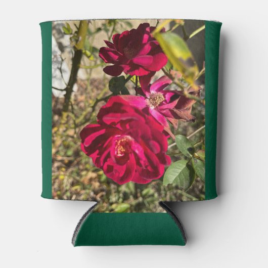 濃い赤いバラ 缶クーラー (正面)