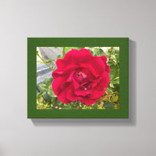 濃い赤のバラ キャンバスプリント