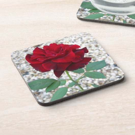 濃い赤のバラ コースター (左側)