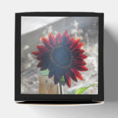 濃い赤ひまわり フェイバーボックス (上部)