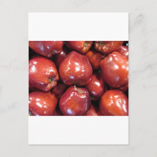 濃い赤リンゴ ポストカード (正面)