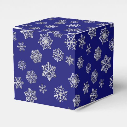 濃い青の背景に銀色の雪が積もっている フェイバーボックス (正面サイド)