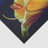 濃い黄色のユリの花の切り離し 薄葉紙 (詳細)