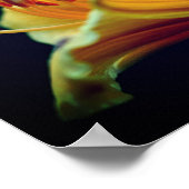 濃い黄色のユリの花 ポスター (角)