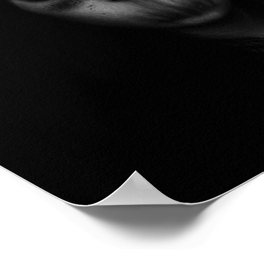 濃い3 ポスター (角)