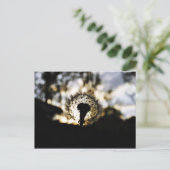 濃いNダンディ ポストカード (スタンド正面)