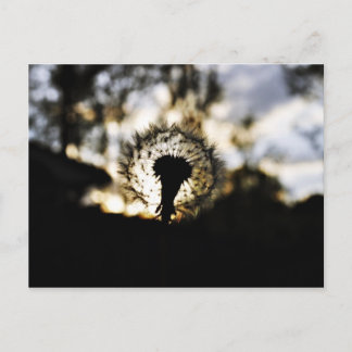 濃いNダンディ ポストカード