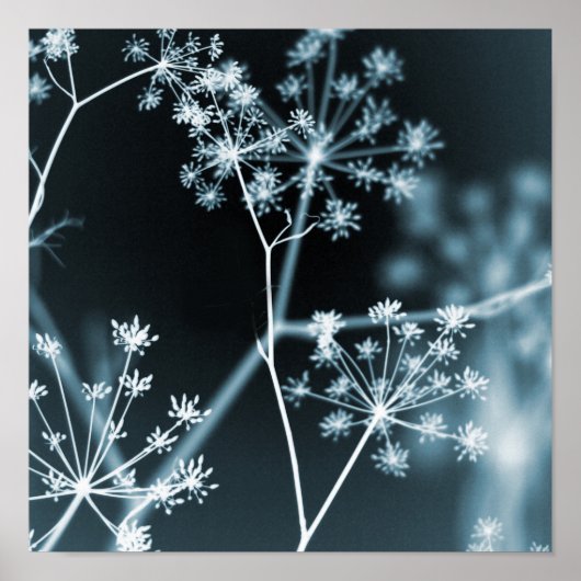 濃エレガント色のフローラ抽象芸術 ポスター (正面)