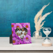 濃エレガント色ピンク色マゼンタフローラデイジー フォトプラーク (インサイチュ)