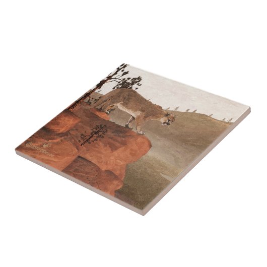 濃度 – クーガー タイル (側面)