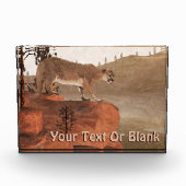 濃度 – クーガー フォトブロック (正面)