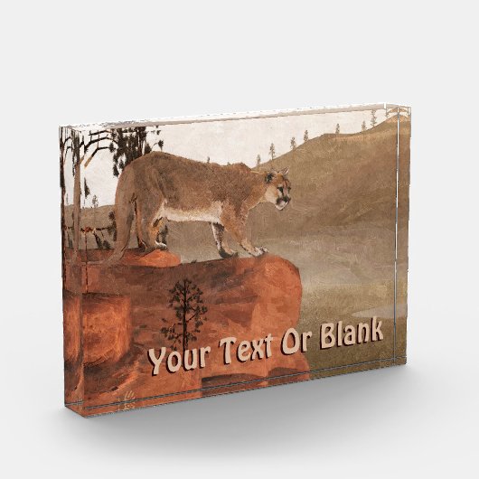 濃度 – クーガー フォトブロック (左)