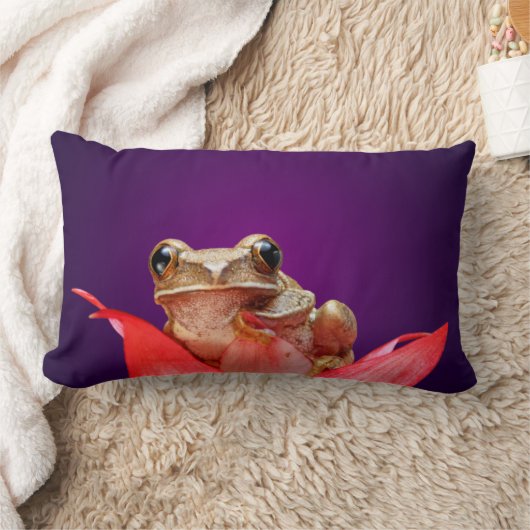 濃紫色のかわいく小さいブラウンによって大理石模様をつけられるリードカエル ランバークッション (ブランケット)