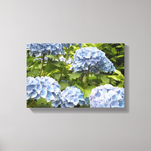 濃紺の紫陽花 キャンバスプリント (正面)