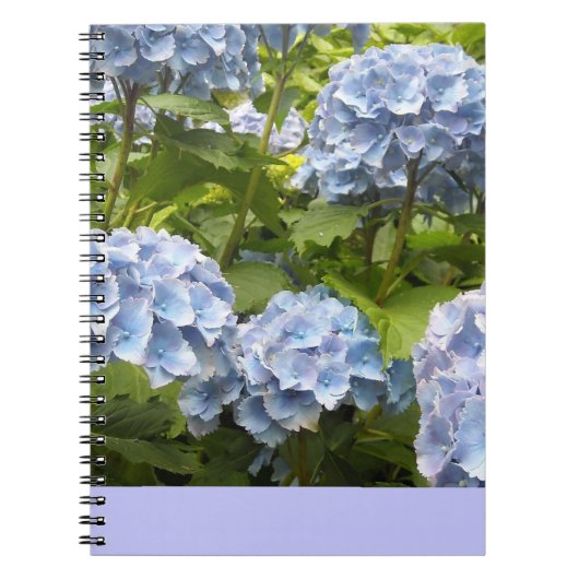 濃紺の紫陽花 ノートブック (正面)