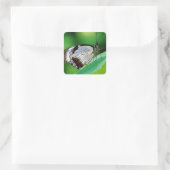 濃茶色と灰色の蝶 スクエアシール (バッグ)