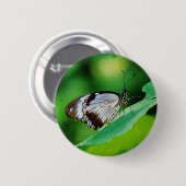 濃茶色と灰色の蝶 缶バッジ (正面&裏面)