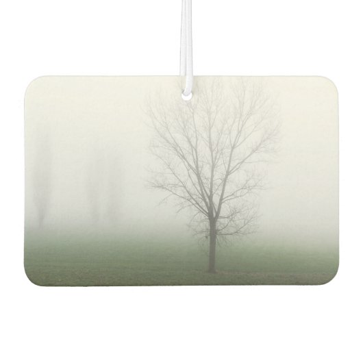 濃霧に覆われた公園 カーエアーフレッシュナー (正面)