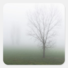 濃霧に覆われた公園 スクエアシール