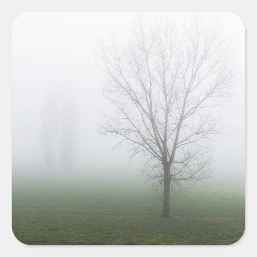 濃霧に覆われた公園 スクエアシール (正面)