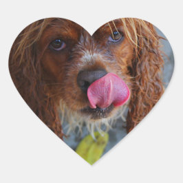 濡れた犬とバナナ ハートシール