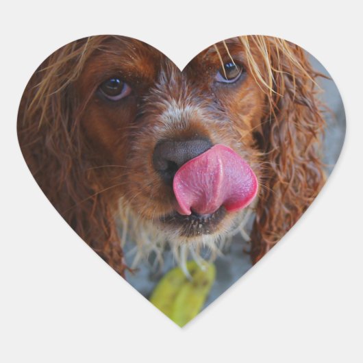 濡れた犬とバナナ ハートシール (正面)