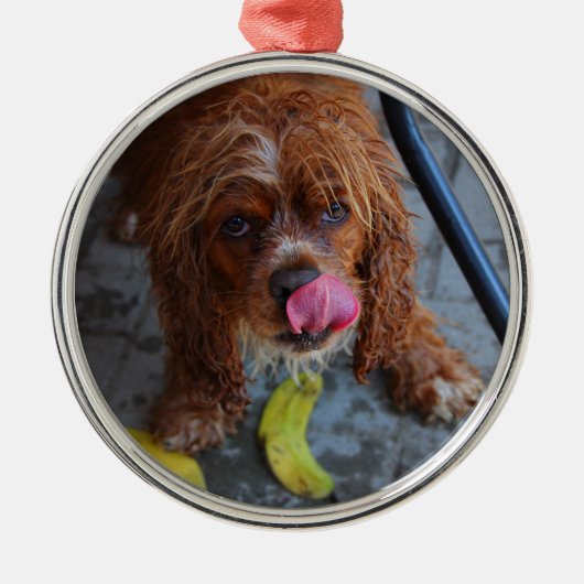 濡れた犬とバナナ メタルオーナメント (正面)