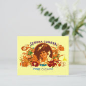 瀬乃羅花 ポストカード (スタンド正面)